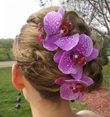 Orchid Floral Clips