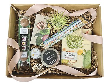Noteworthy Gift Package