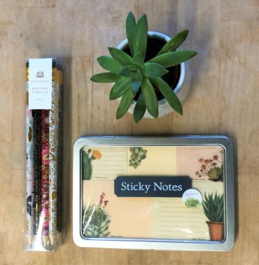 Succulent Gift Set