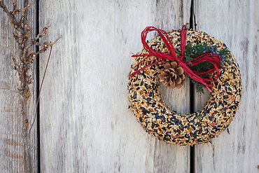 Wildfeast Birdseed Wreath