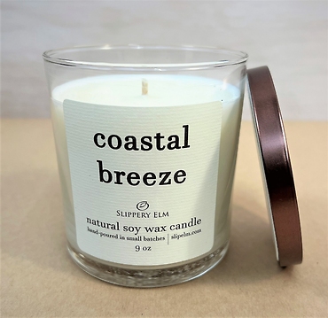 Slippery Elm Candles | Coastal Breeze