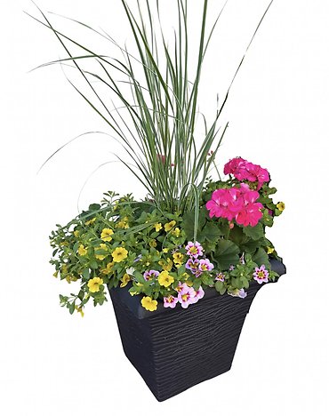 14\" Flowering Patio Planter | Pinks & Yellows