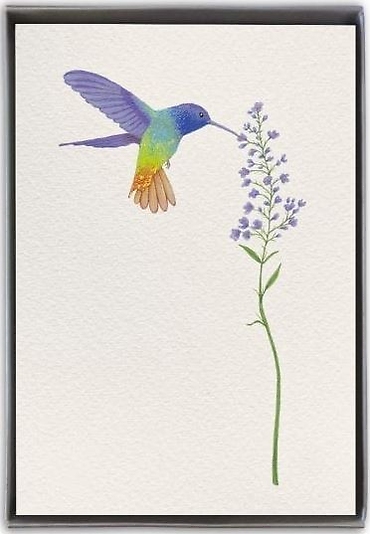 Card Set | Hummingbird