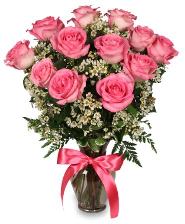 Dozen Deluxe Pink Roses