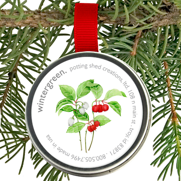Seeds l Wintergreen