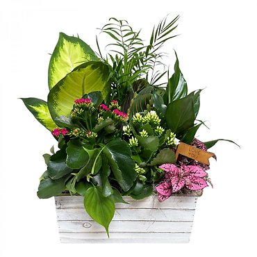 \"Love You\" Garden Box