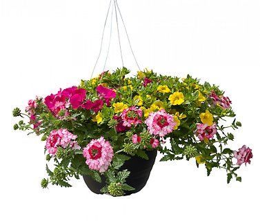 13\" Outdoor Hanging Flower Basket | Pinks & Yellows