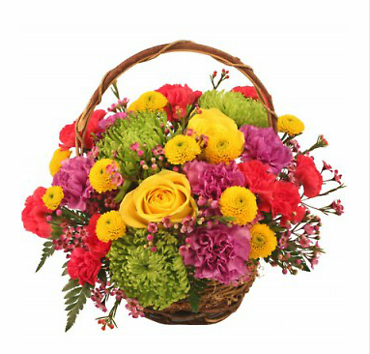 Colorfulness Basket