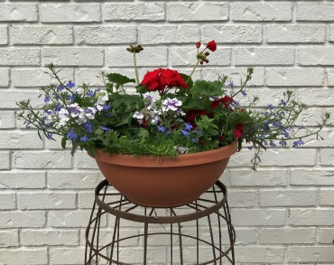 Tabletop Garden Bowl