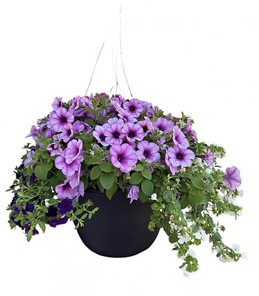 13\" Hanging Flower Basket - Purples & White