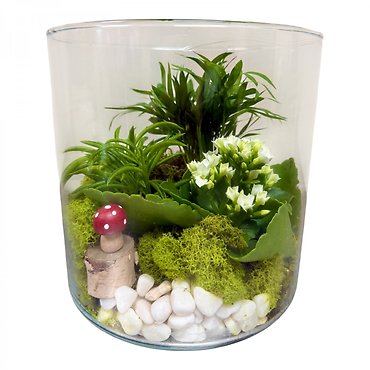 Mini Mushroom Terrarium