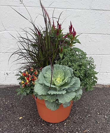 Outdoor Mum Combo Planter (14\" Round)