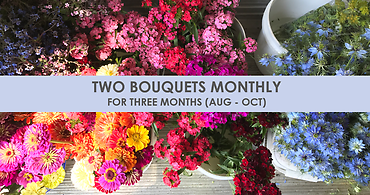 Two Bouquets Per Month - Local Blooms
