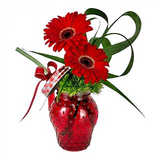 Strawberry Squeeze