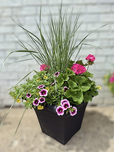 14\" Flowering Patio Planter | Pinks, Purples, Yellows