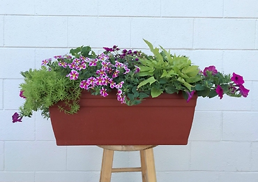 Blooming Patio Planter