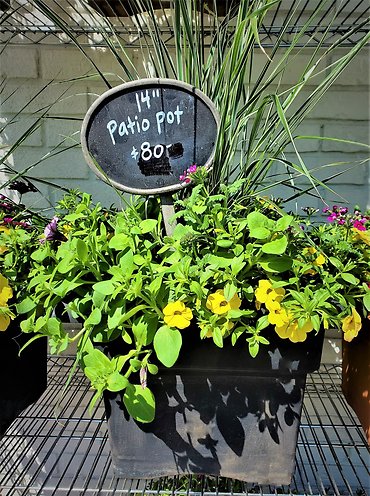 Patio Pot | Black