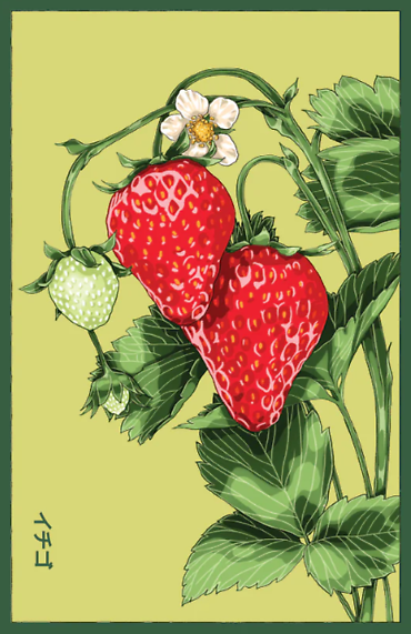 Seeds | Strawberry
