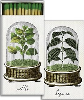 Matches l Nettle l Begonia