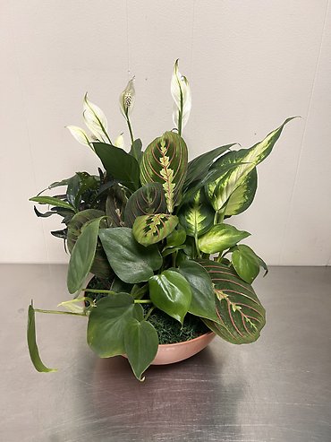 Foliage Garden Bowl - Small
