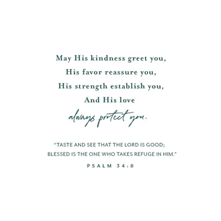 Any Occasion Enclosure Card #1