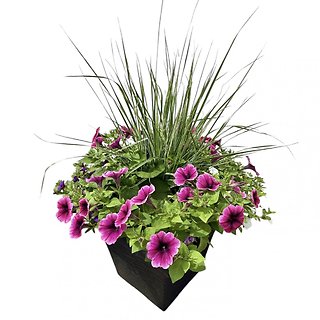 14\" Flowering Patio Planter | Purples & Whites
