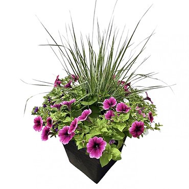 14\" Flowering Patio Planter | Purples & Whites