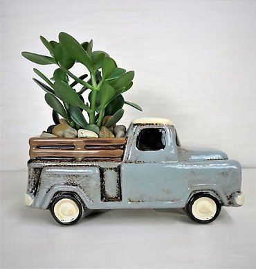 Jade Truck Planter