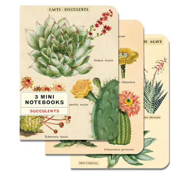 3 Mini Notebooks | Succulents