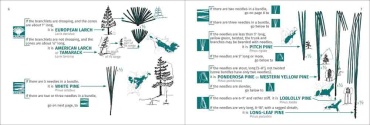Tree Finder