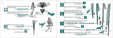 Tree Finder