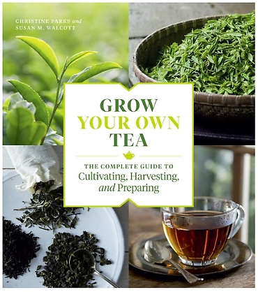 Grow Your Own Tea